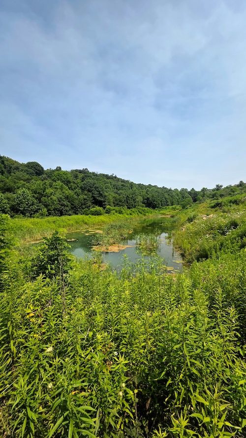 Pennsylvania